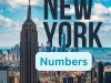 NY Numbers Results Today –08-02-2025 | Midday & Evening Winning Numbers
