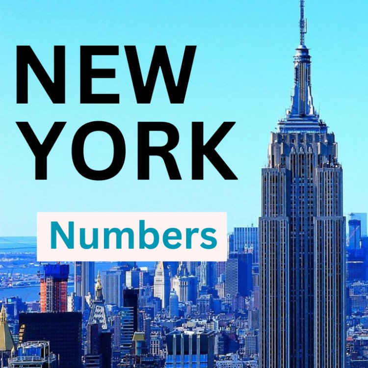 NY Numbers Midday Results 16-11-2025 |  Jackpot and Winning Numbers